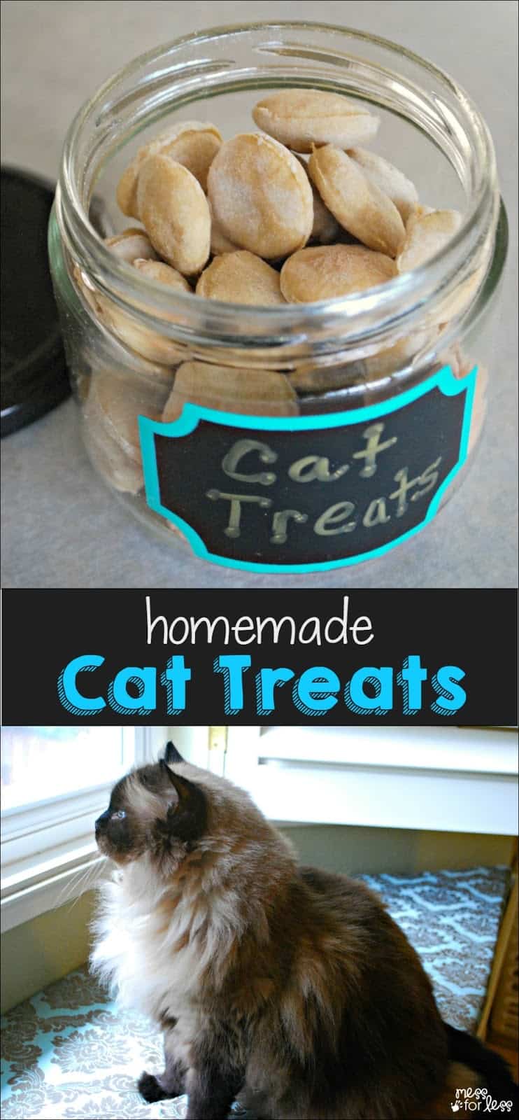 Homemade Cat Treats Recipe Mess for Less