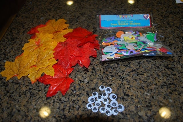 supplies for fall crafts