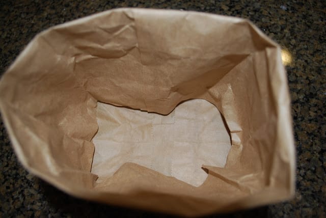 paper bag donkeys