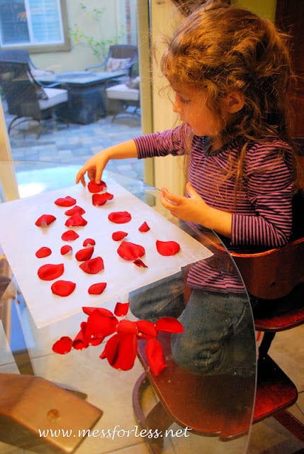 child placing rose petals on wax paper