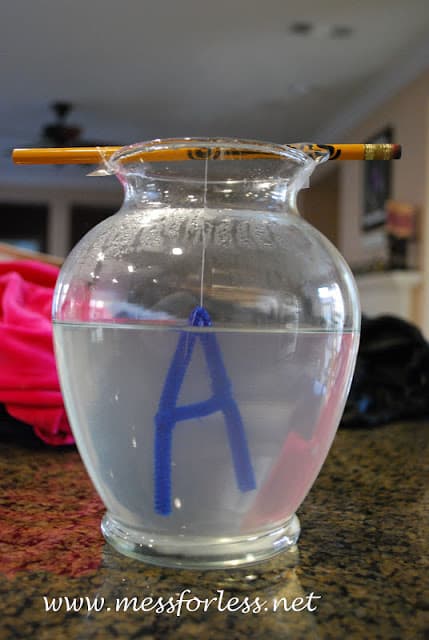 pipe cleaner a hanging in vase