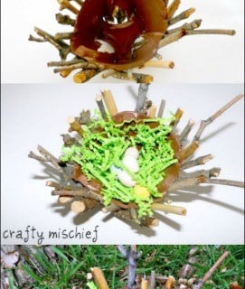 birds nest craft for kids