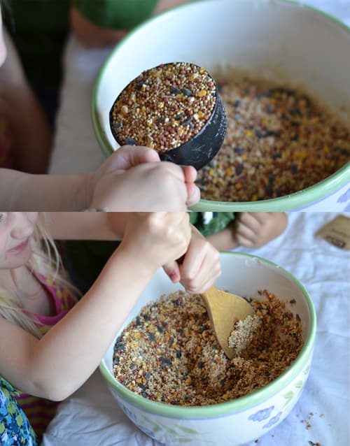 making a bird seed wreath