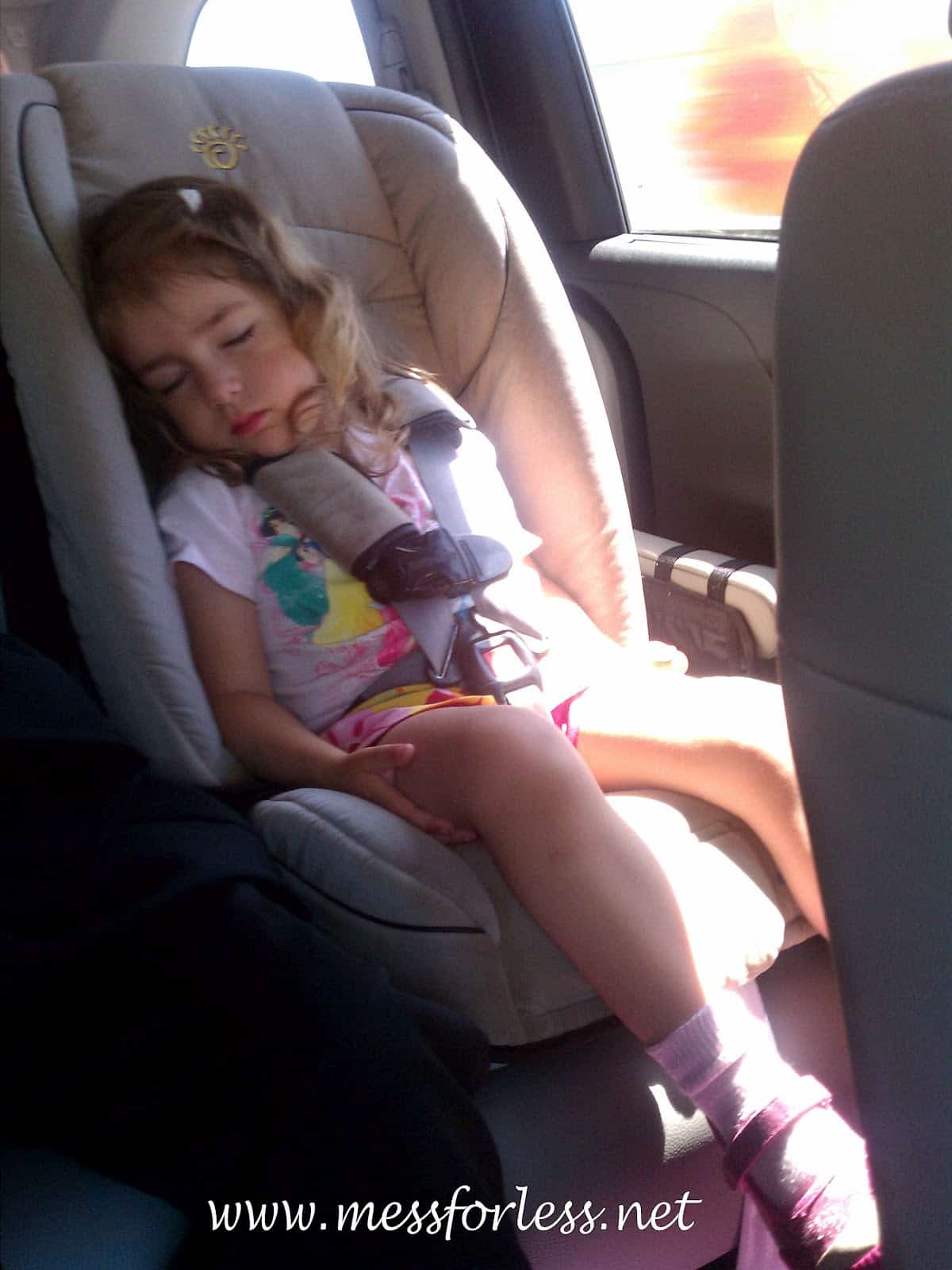 Surviving A Road Trip With Young Kids Mess For Less