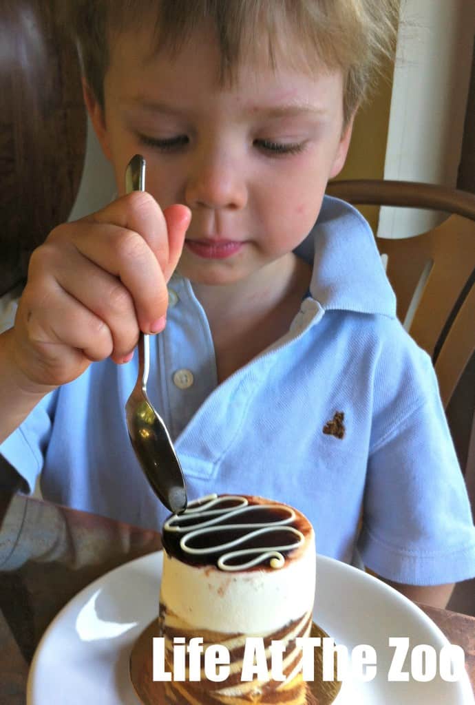 child eating dessert