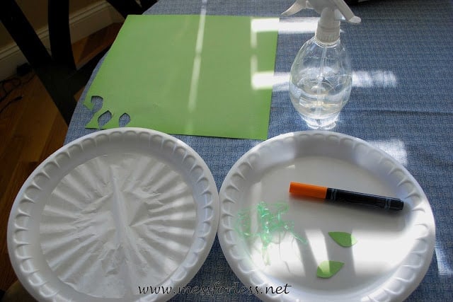 coffee filter on plate