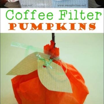 cropped-coffee-filter-pumpkins.jpg