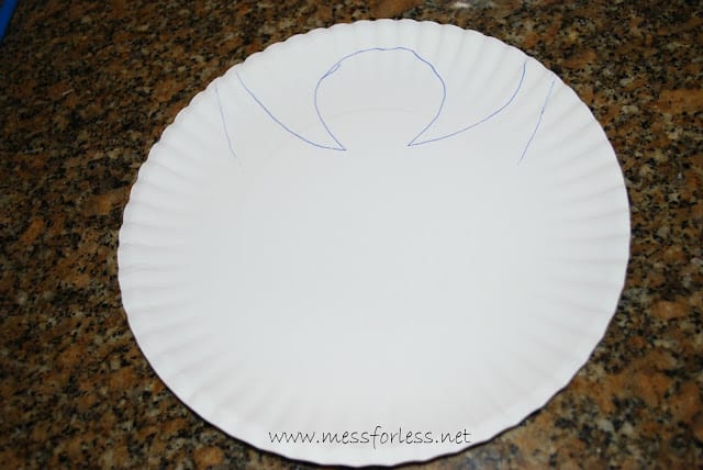 paper plate 