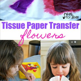 coffee filter flowers made with tissue paper