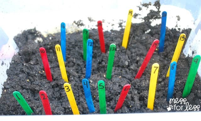 popsicle sticks in dirt