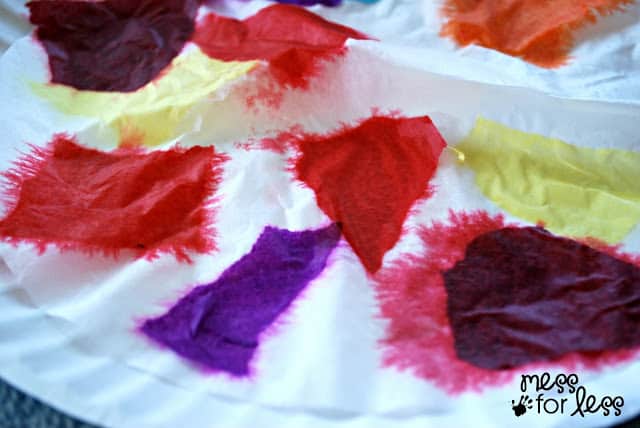 colorful coffee filter