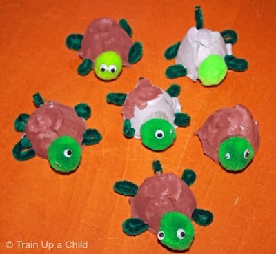 turtle craft