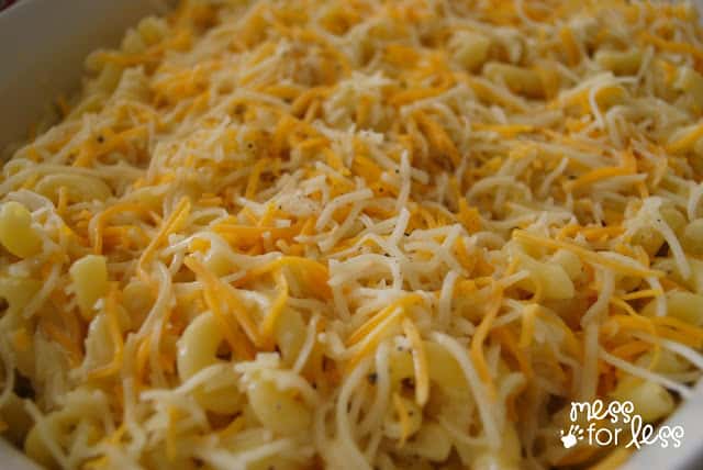 elbow macaroni with shredded cheese