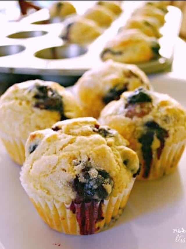 Blueberry Muffin Recipes