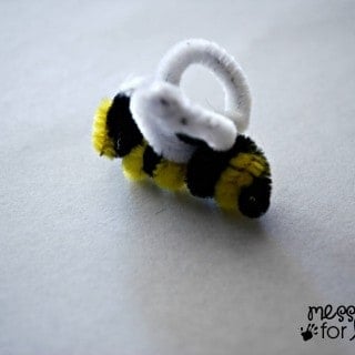 pipe cleaner bee1