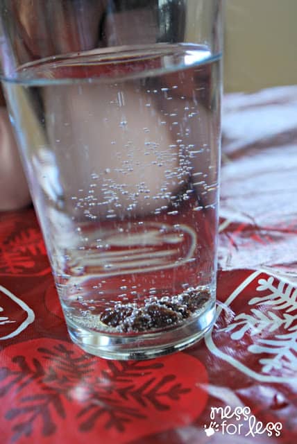 raisins in a glass with seltzer