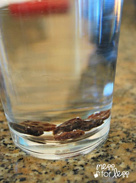 raisins at the bottom of a glass with clear liquid