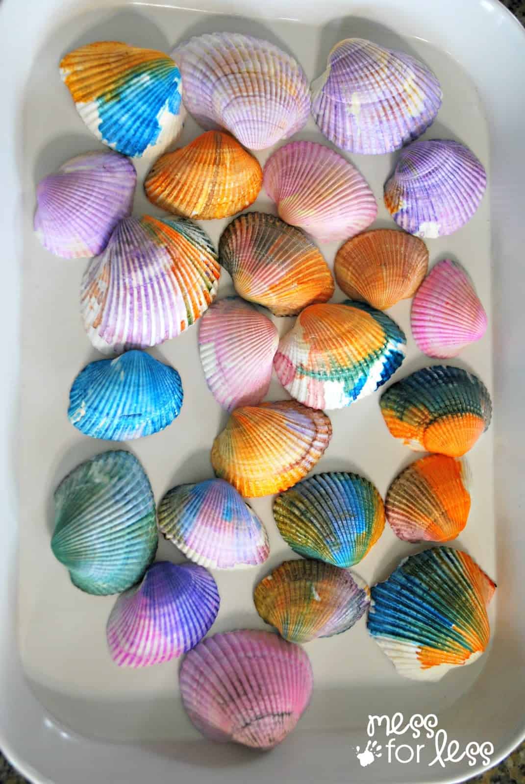 watercolor painted seashells