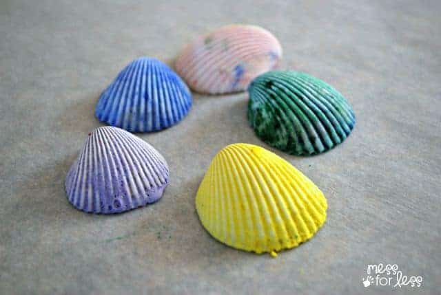 decorated shells in different colors