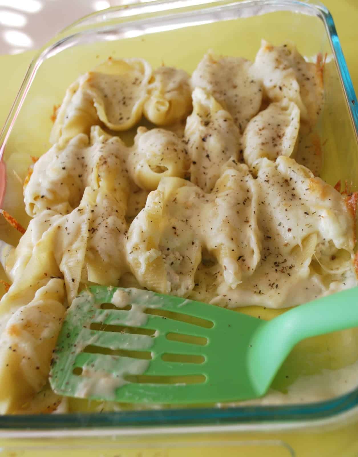 chicken alfredo stuffed shells