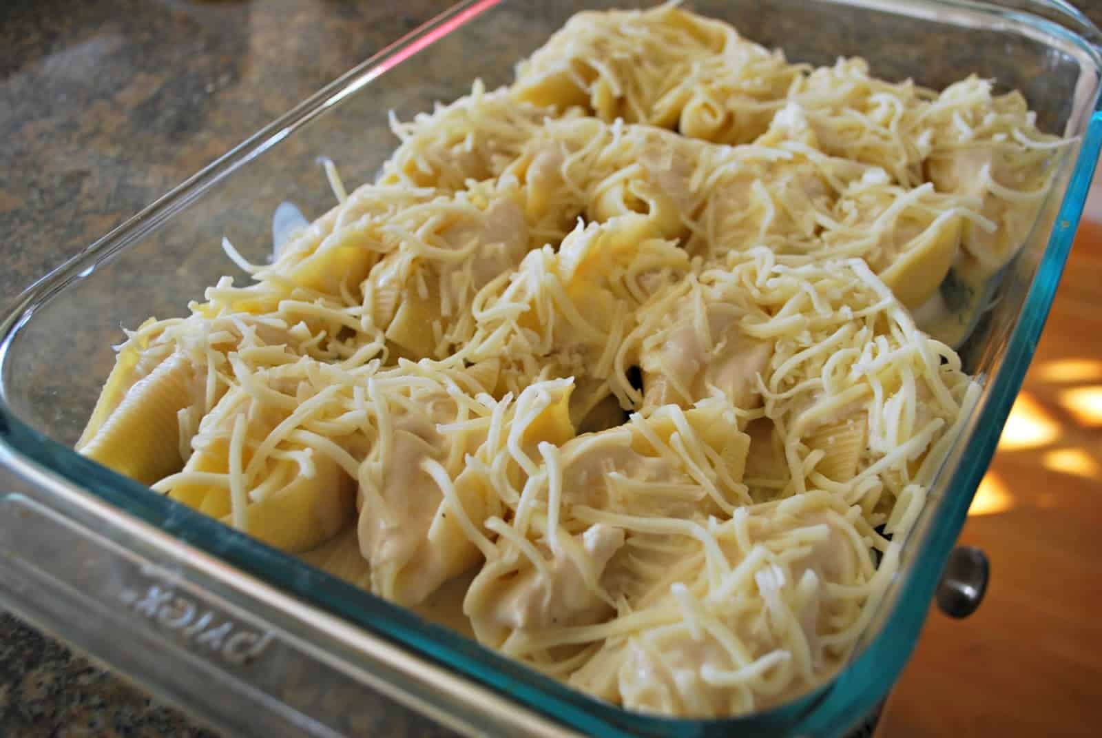 chicken alfredo stuffed shells