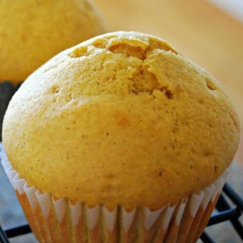 Carrot Muffin Recipe for Kids Mess for Less