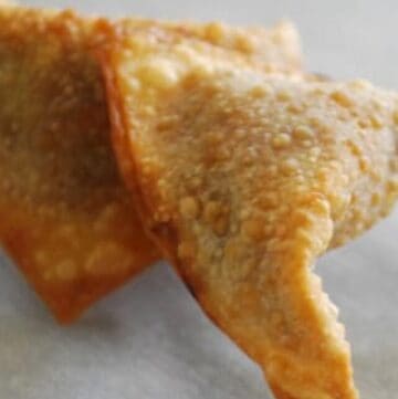 cropped fried wontons12