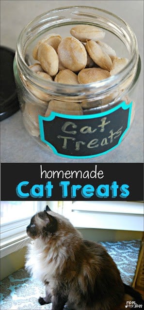 I made these homemade cat treats using just a few ingredients I had in the pantry and my cat gobbled them up! 