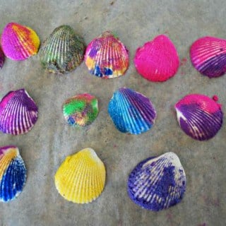 sea shell decorating