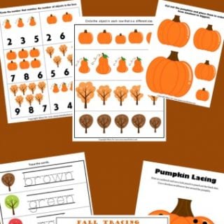 free fall worksheets