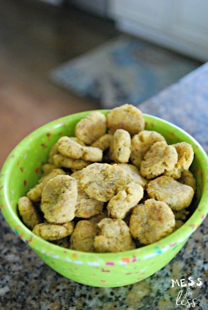 cat treats in bowl
