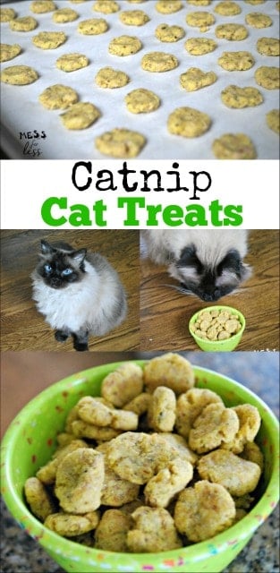 This catnip cat treats recipe is a hit with out cat. Easy to make and has her meowing for more! 