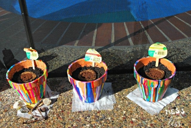 drip painted flower pots