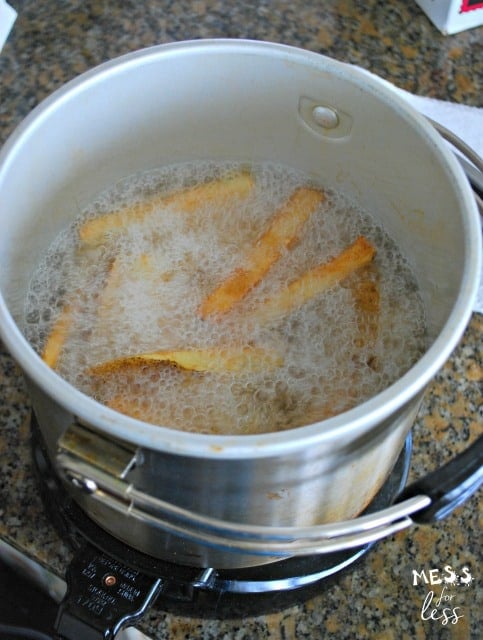 deep fryer with fries