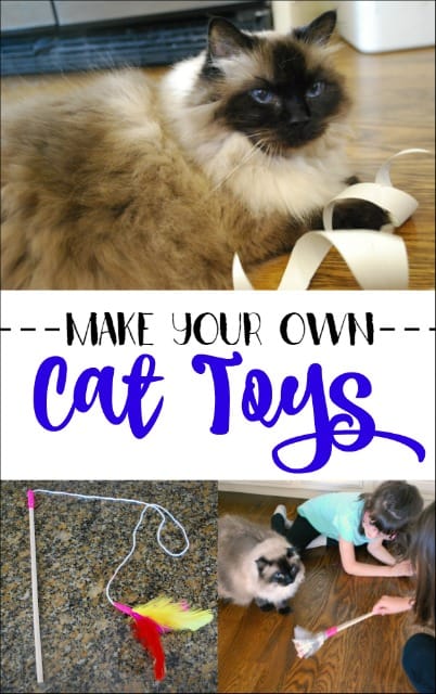 Want to entertain your cat but don't want to spend lots on cat toys? Find out how easy it is to make DIY cat toys. My kids were even able to make them.