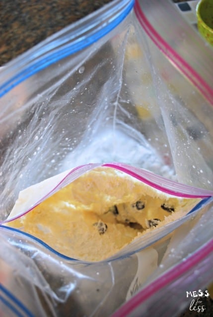 Homemade Ice Cream in a Bag