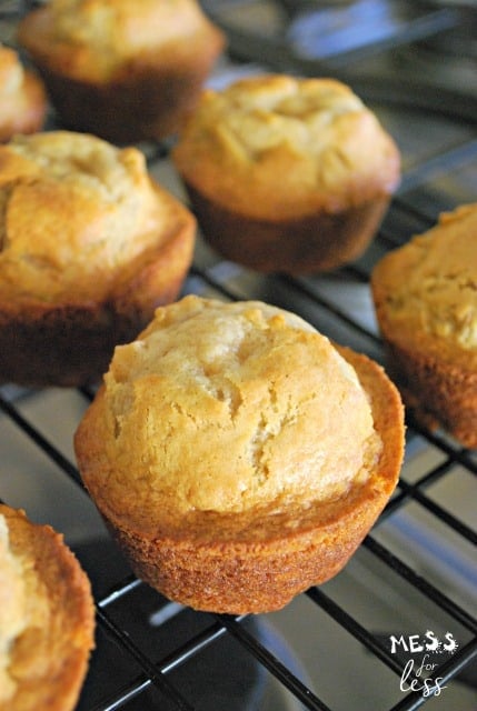 Best Apple Muffins Recipe