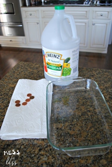 vinegar, pennies, paper towel, pan