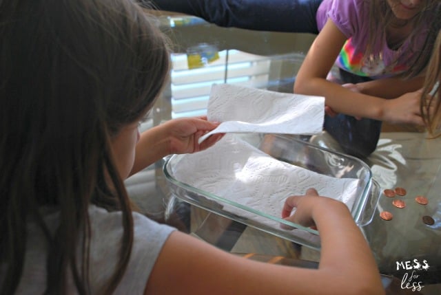 putting napkins in pan