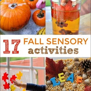 fall sensory activities