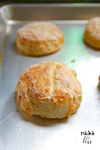 Cheesy Biscuits with Two Ingredient Dough