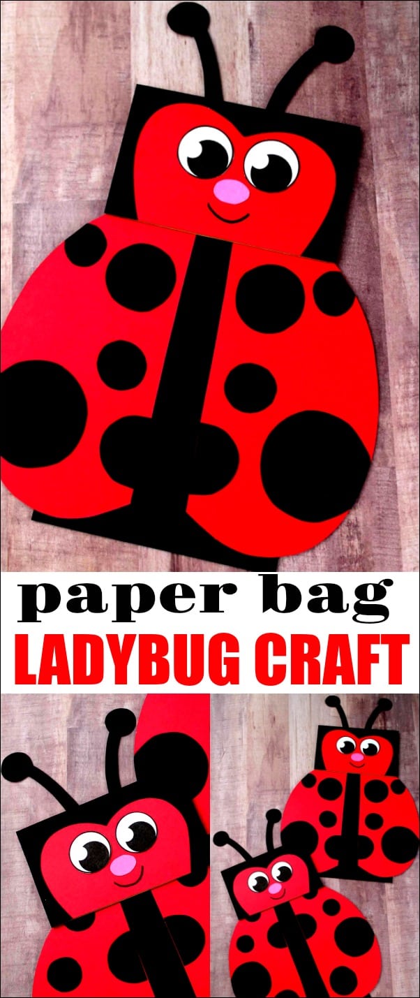 Paper Bag Ladybug Craft - This ladybug craft is great to do if you are studying ladybugs or are just a fan. You'll never believe this cutie was made with a paper bag. 