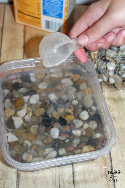 rocks in a bowl of water