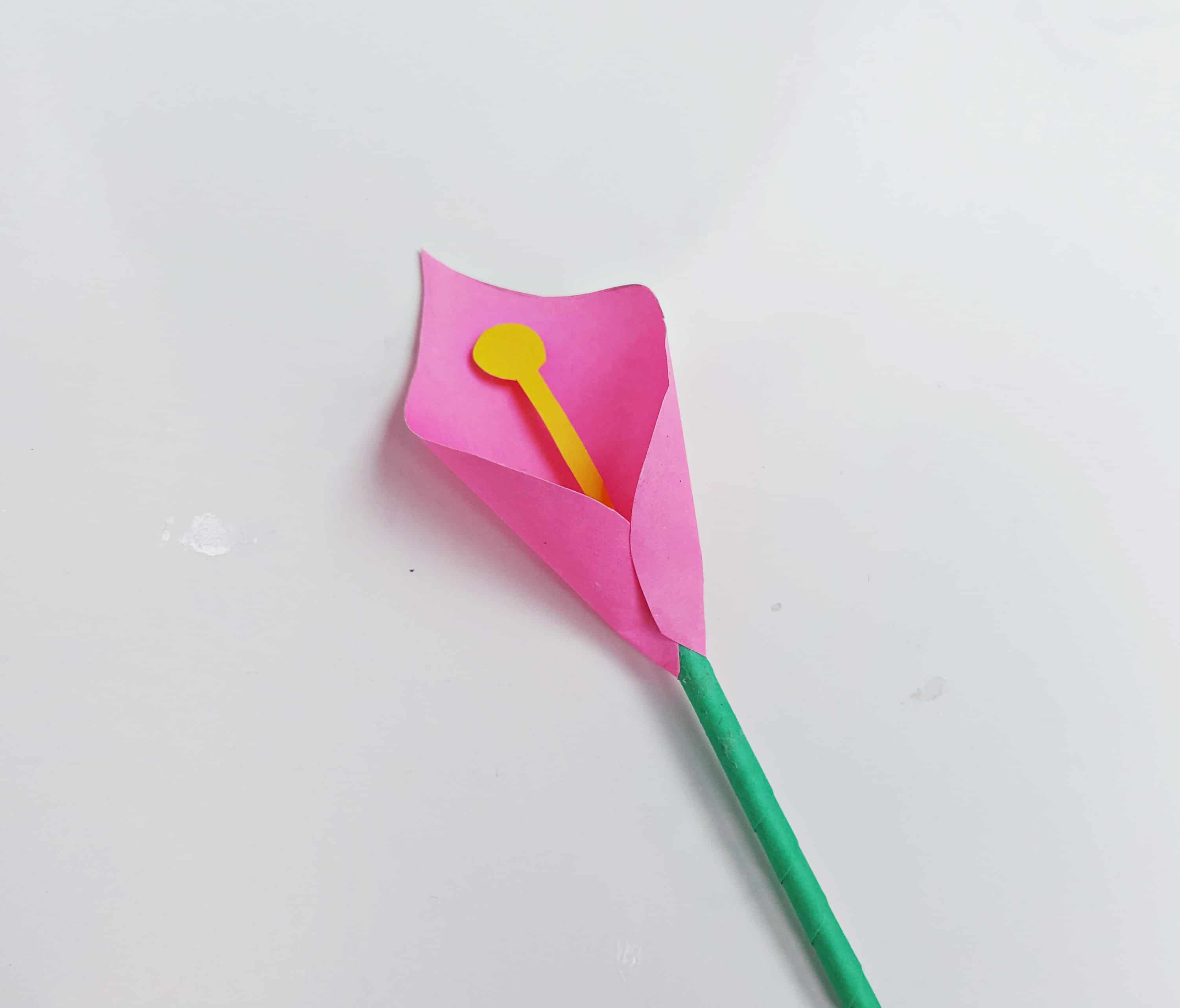 calla lily flower paper craft