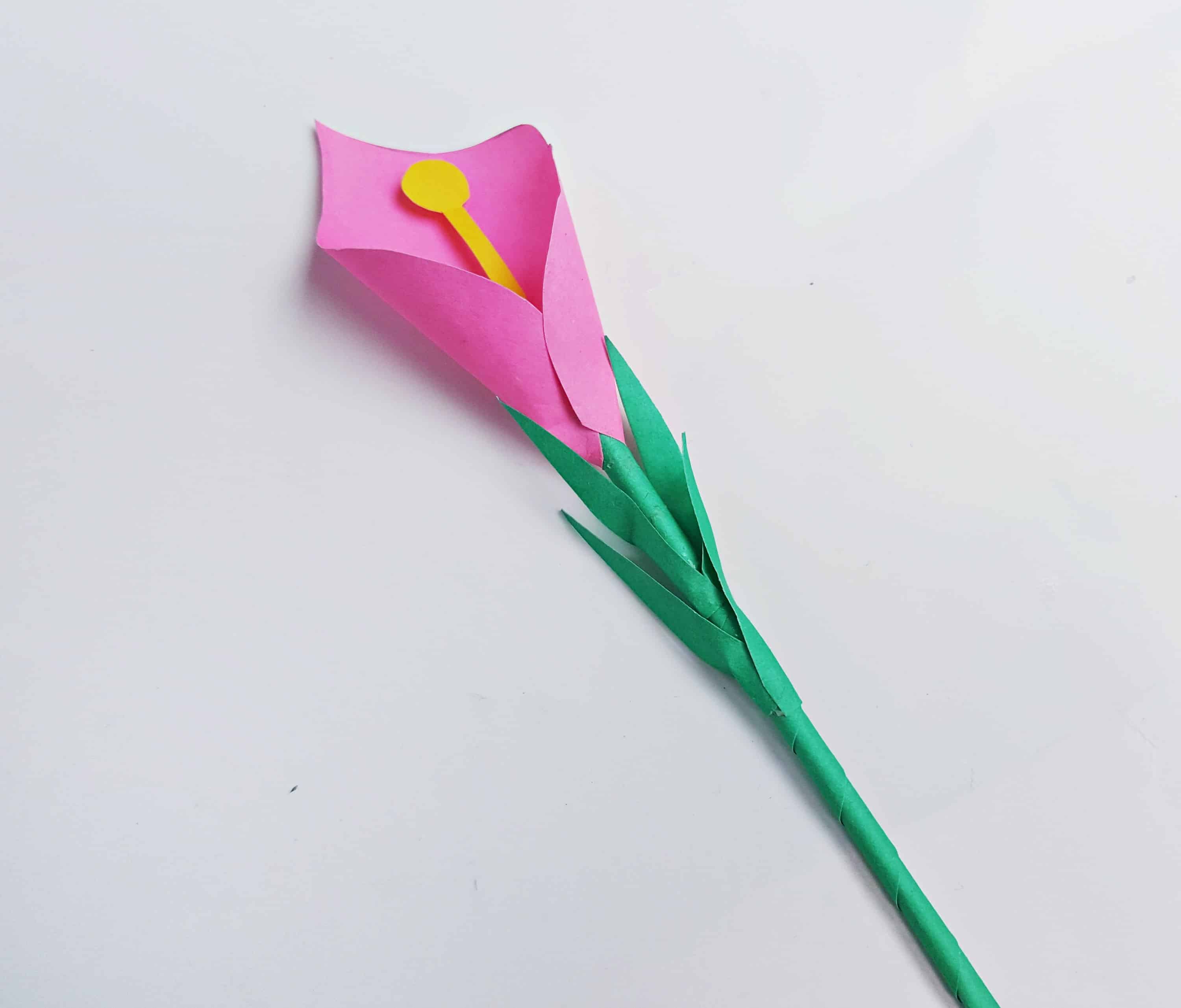 calla lily flower craft for kids