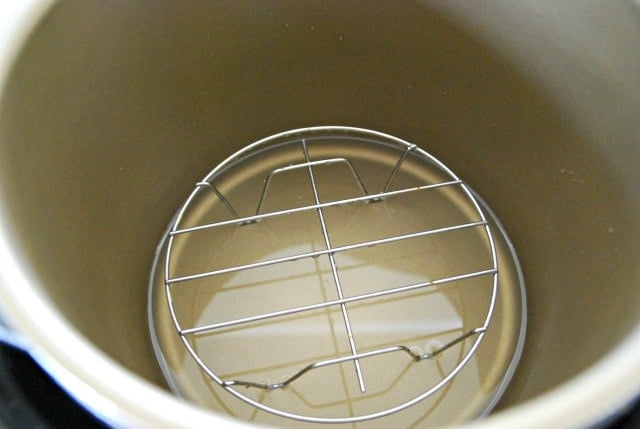 trivet in an instant pot