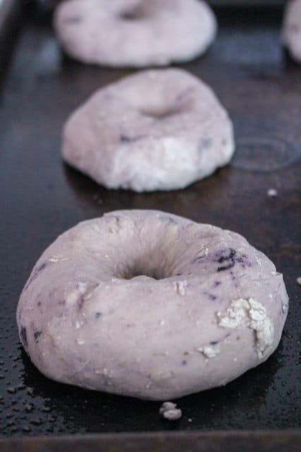 blueberry bagel dough on a cookie sheet