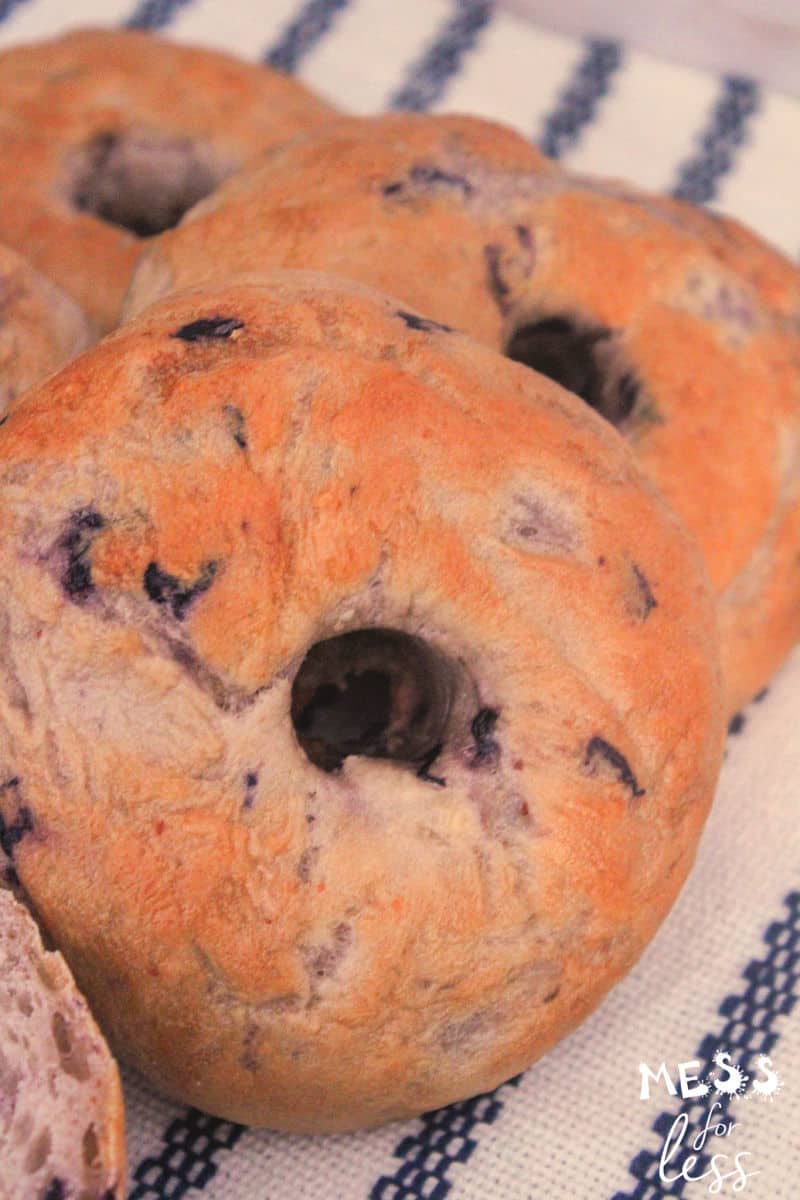blueberry bagels recipe