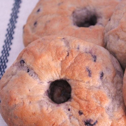 The Best Homemade Blueberry Bagels Mess for Less