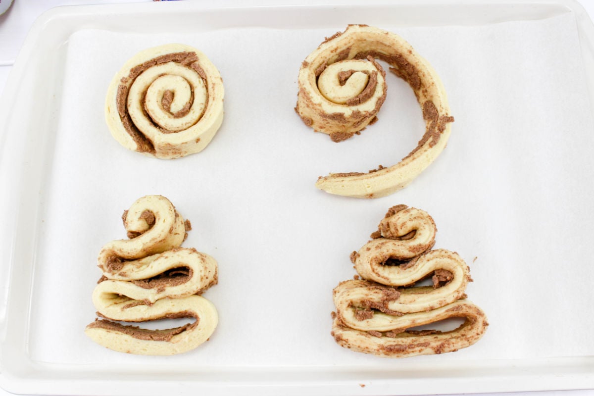 cinnamon rolls being shaped into trees.